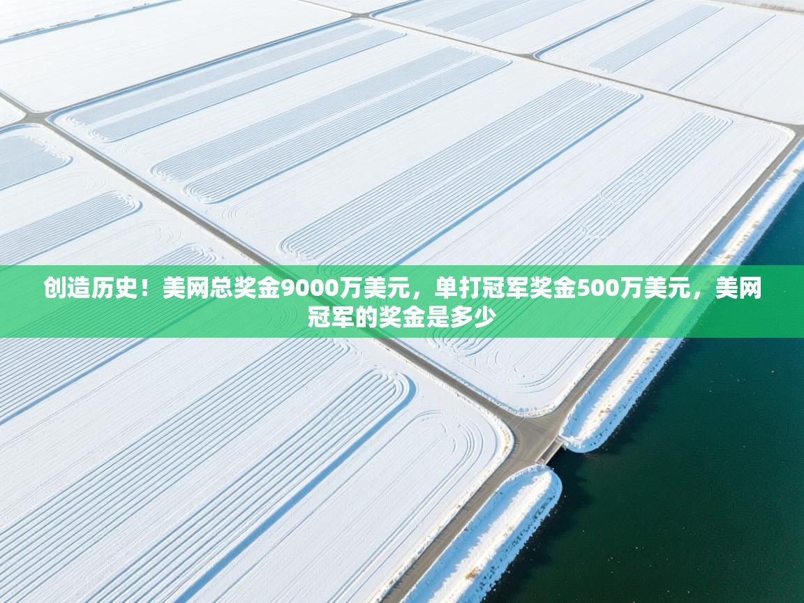 乐动体育平台-创造历史!美网总奖金9000万美元,单打冠军奖金500万美元,美网冠军的奖金是多少