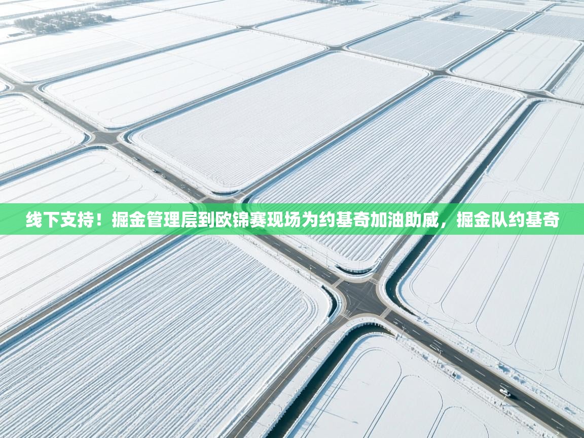 乐动体育app入口ld体育官方入口-线下支持!掘金管理层到欧锦赛现场为约基奇加油助威,掘金队约基奇