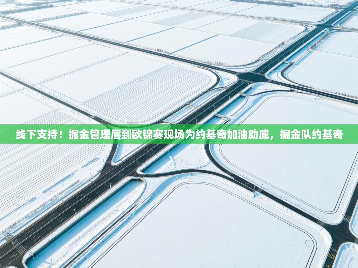 乐动体育app入口ld体育官方入口-线下支持!掘金管理层到欧锦赛现场为约基奇加油助威,掘金队约基奇