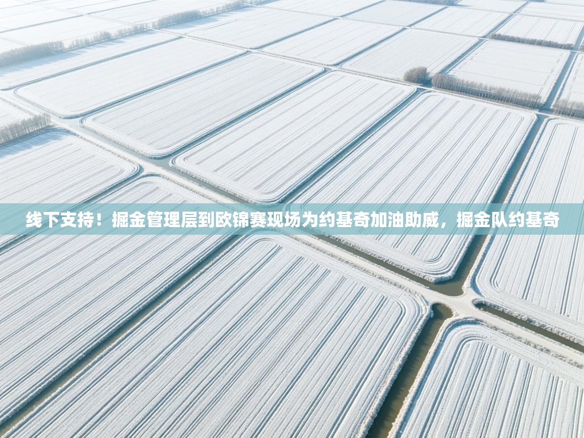 乐动体育app入口ld体育官方入口-线下支持!掘金管理层到欧锦赛现场为约基奇加油助威,掘金队约基奇