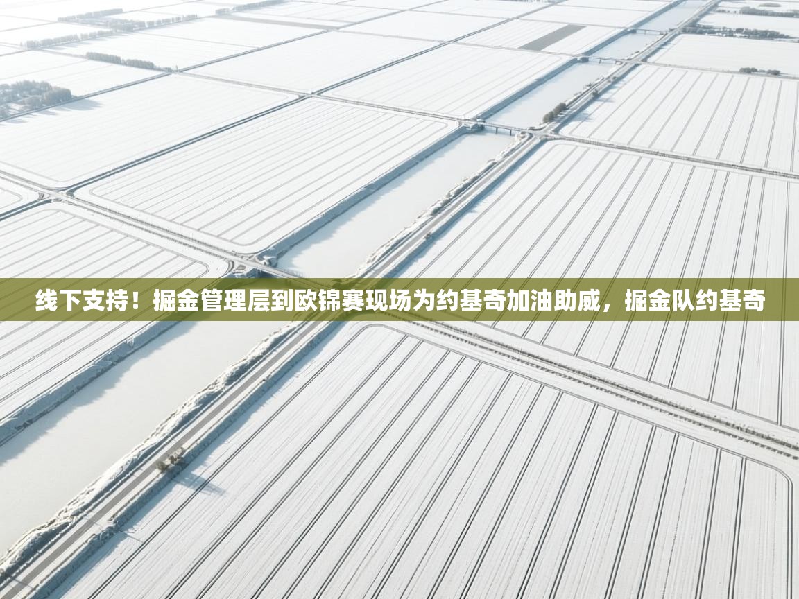 乐动体育app入口ld体育官方入口-线下支持!掘金管理层到欧锦赛现场为约基奇加油助威,掘金队约基奇