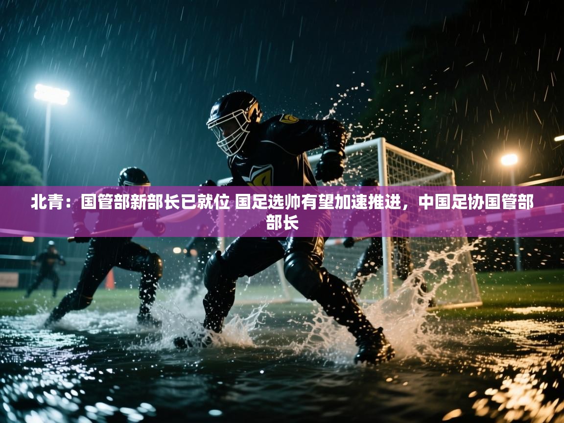 乐动体育赞助商-北青:国管部新部长已就位 国足选帅有望加速推进,中国足协国管部部长