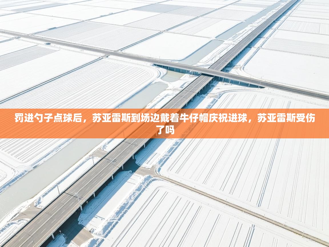 乐动体育app下载优惠-罚进勺子点球后,苏亚雷斯到场边戴着牛仔帽庆祝进球,苏亚雷斯受伤了吗 第2张