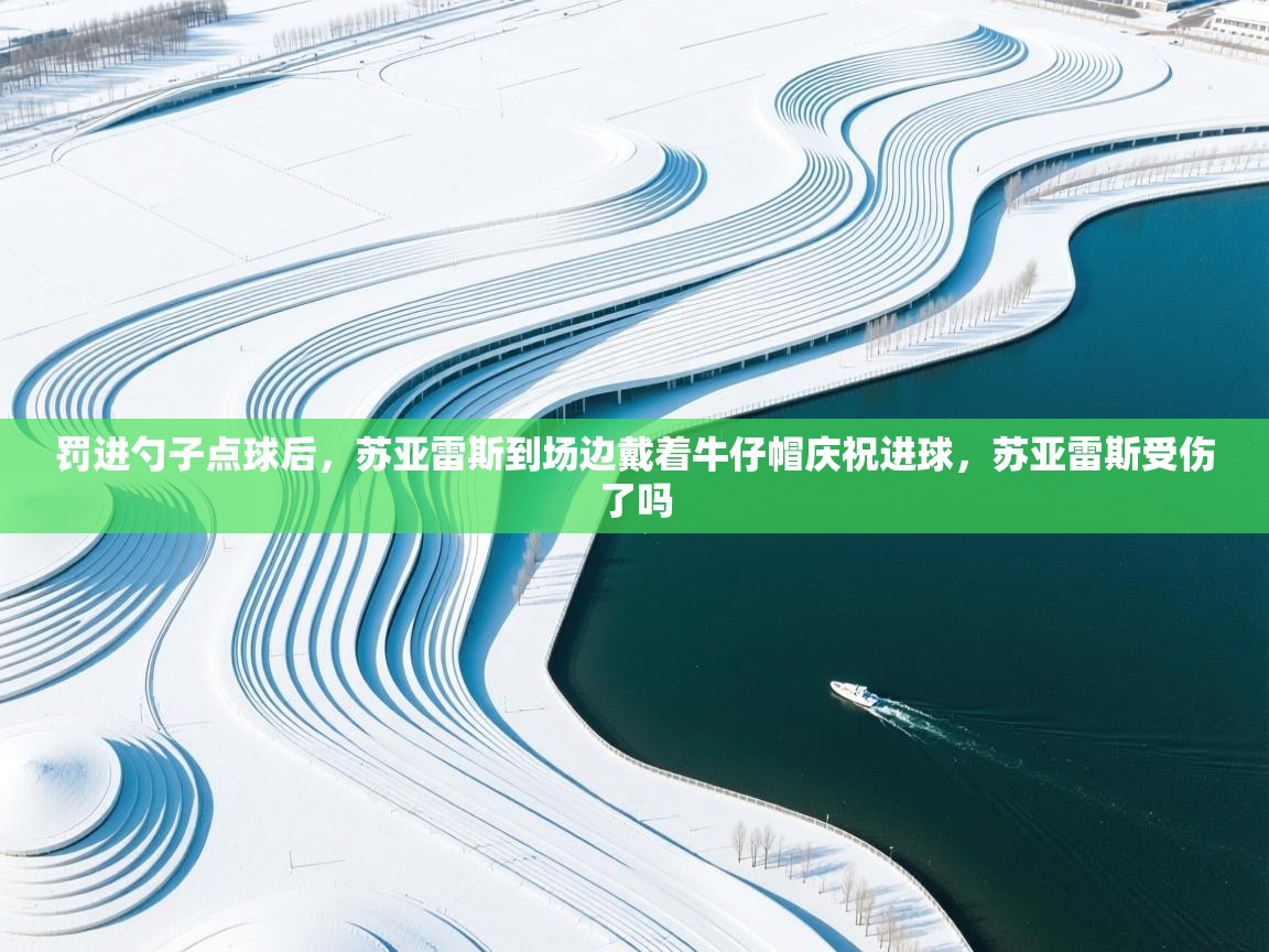 乐动体育app下载优惠-罚进勺子点球后,苏亚雷斯到场边戴着牛仔帽庆祝进球,苏亚雷斯受伤了吗 第3张