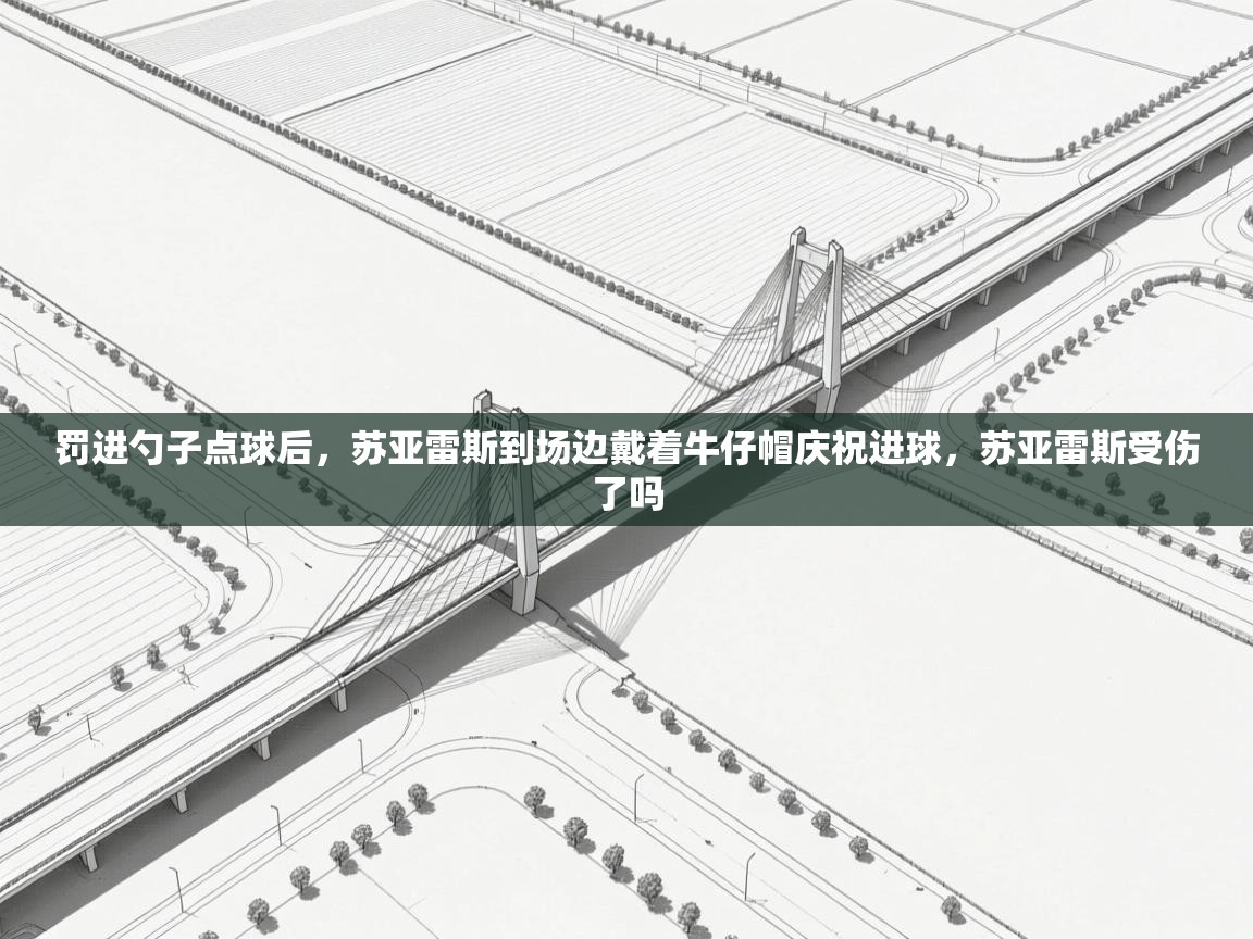 乐动体育app下载优惠-罚进勺子点球后,苏亚雷斯到场边戴着牛仔帽庆祝进球,苏亚雷斯受伤了吗 第4张
