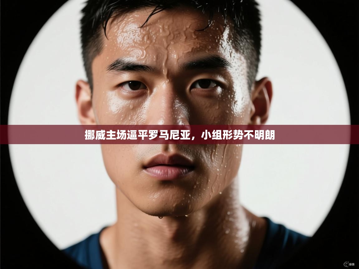 乐动体育平台-挪威主场逼平罗马尼亚,小组形势不明朗 第4张