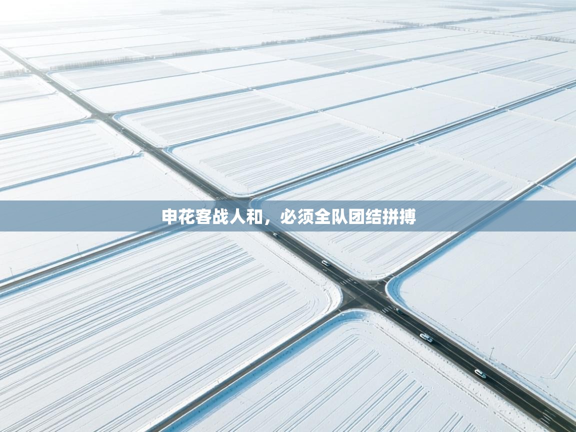 乐动体育app下载官网-申花客战人和，必须全队团结拼搏  第1张