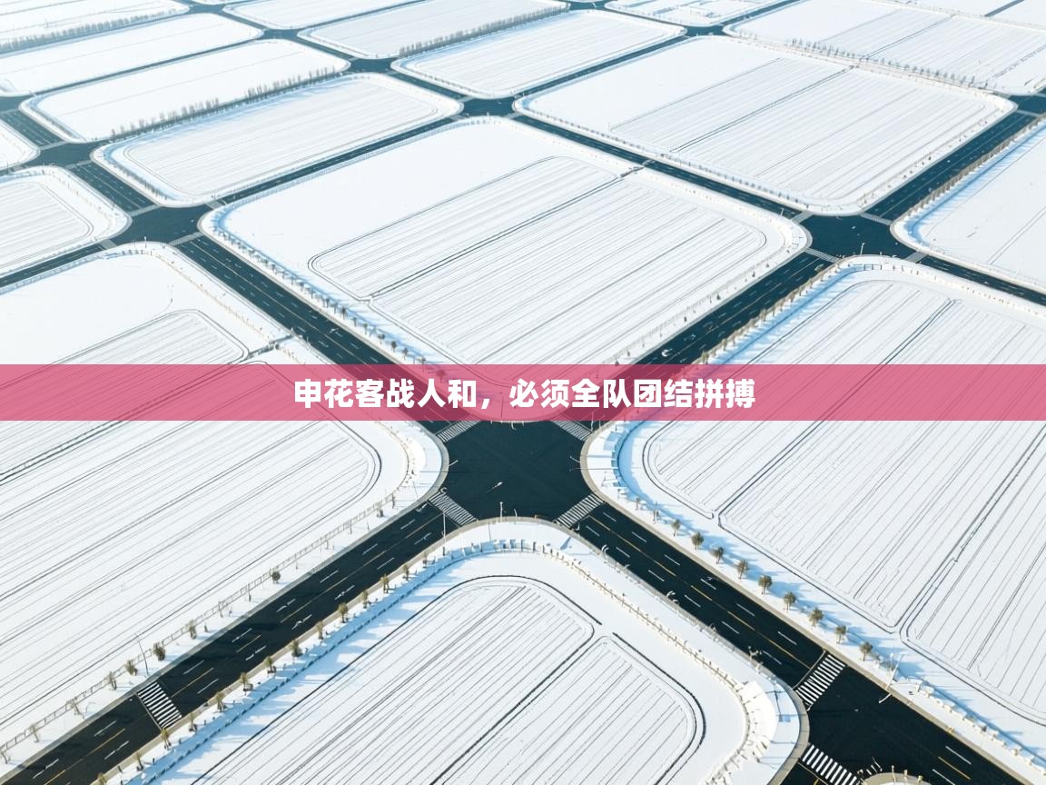 乐动体育app下载官网-申花客战人和，必须全队团结拼搏  第2张