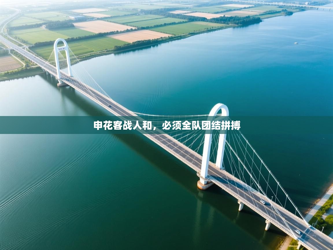 乐动体育app下载官网-申花客战人和，必须全队团结拼搏  第3张