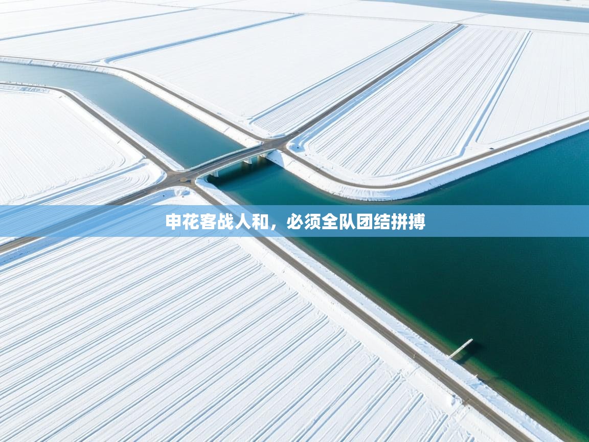 乐动体育app下载官网-申花客战人和，必须全队团结拼搏  第4张