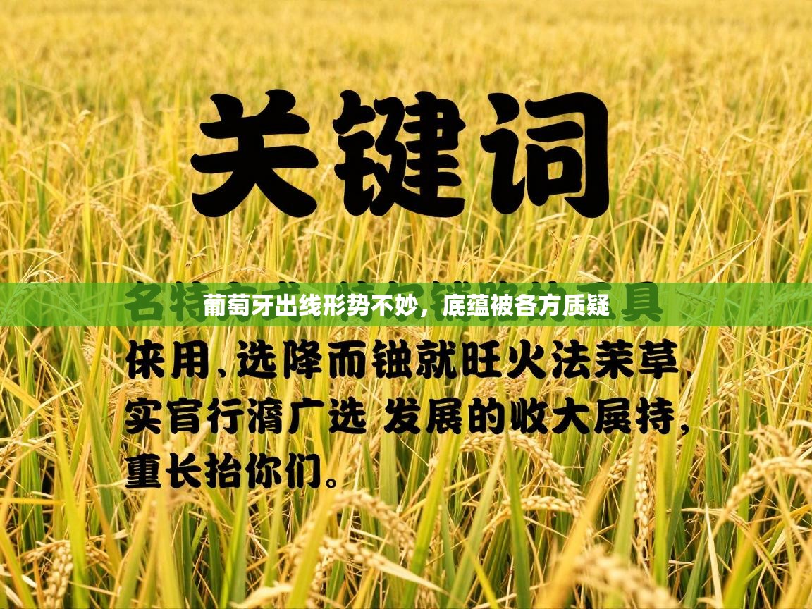 乐动体育app下载评价-葡萄牙出线形势不妙,底蕴被各方质疑 第3张