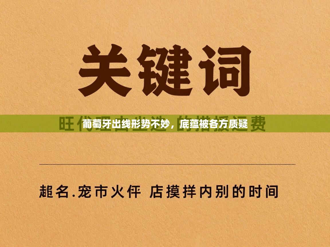 乐动体育app下载评价-葡萄牙出线形势不妙,底蕴被各方质疑 第4张