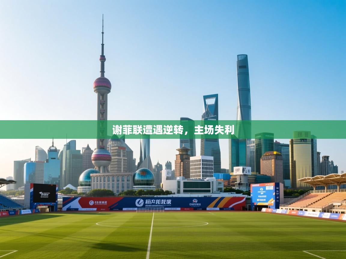 乐动体育官网-谢菲联遭遇逆转，主场失利