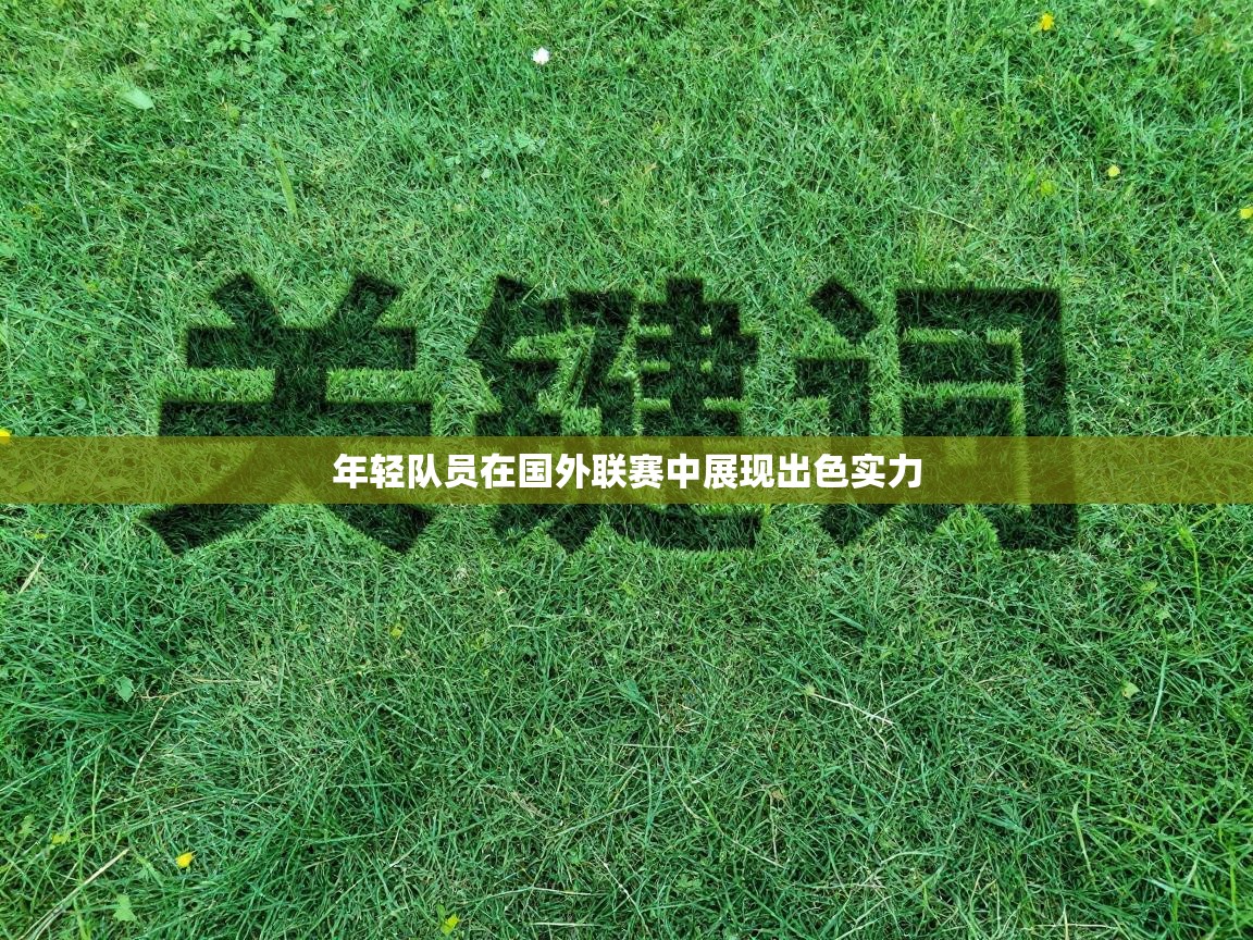 乐动体育官网登录平台-年轻队员在国外联赛中展现出色实力  第2张