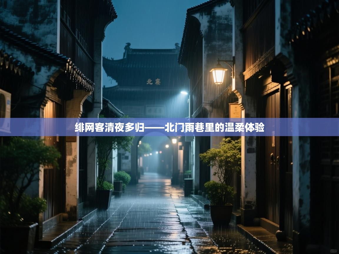 乐动体育赞助商-绯网客清夜多归——北门雨巷里的温柔体验
